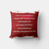 3sqMeets枕 クッション (正面)