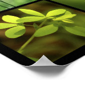 3x3緑の自然写真プリント ポスター (角)