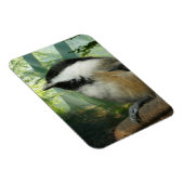 3x4フォトマグネット マグネット (右側)