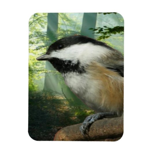 3x4フォトマグネット マグネット (縦)