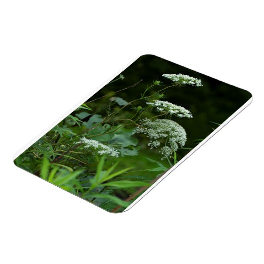 3x4冷蔵マグネットテンプレート マグネット (左側)