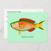 4おもしろい月のフォールの日のハガキ読 – カードの背面 ポストカード (正面/裏面)