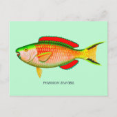 4おもしろい月のフォールの日のハガキ読 – カードの背面 ポストカード (正面)