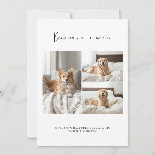 4ついけなのフォトドッグおもしろいクリスマスペットを定義 シーズンカード (正面)