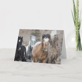 4つのアドーブ-自由に駆け寄るグリーティングカード カード