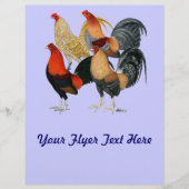 4つのガメコック チラシ (正面)