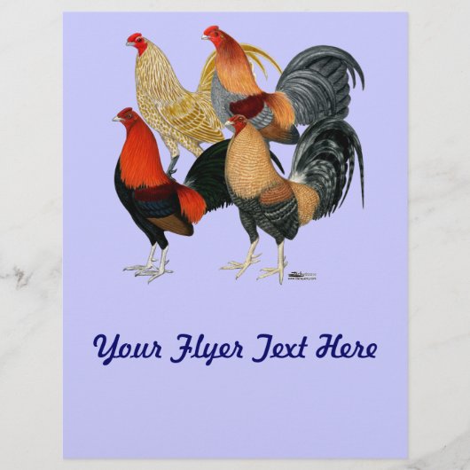 4つのガメコック チラシ (正面)