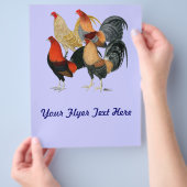 4つのガメコック チラシ (手)