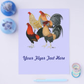 4つのガメコック チラシ (シングル)