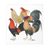 4つのガメコック ノートパッド (正面)