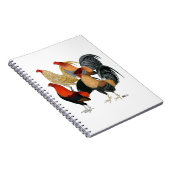 4つのガメコック ノートブック (右側)