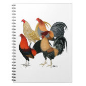 4つのガメコック ノートブック (正面)