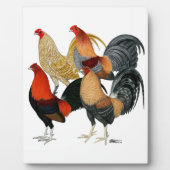 4つのガメコック フォトプラーク (正面)