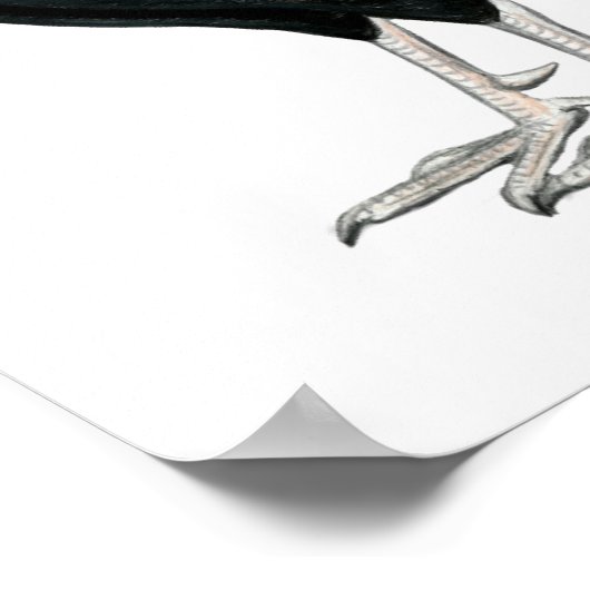 4つのガメコック ポスター (角)