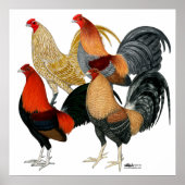 4つのガメコック ポスター (正面)