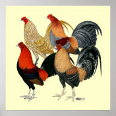 4つのガメコック ポスター (正面)