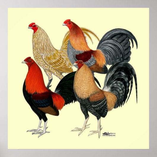 4つのガメコック ポスター (正面)