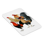 4つのガメコック マグネット (右側)