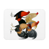 4つのガメコック マグネット (横)