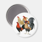 4つのガメコック マグネット (正面/裏面)