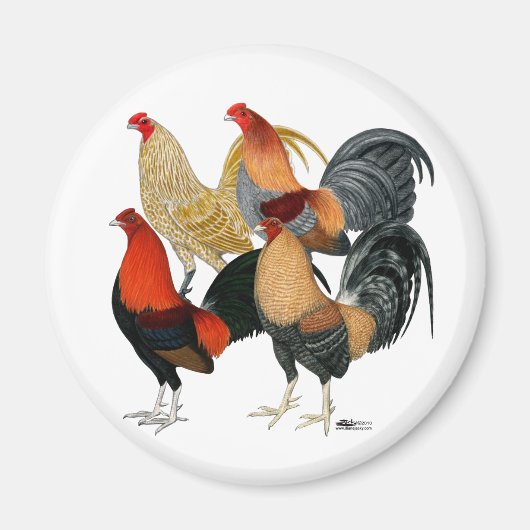 4つのガメコック マグネット (正面)