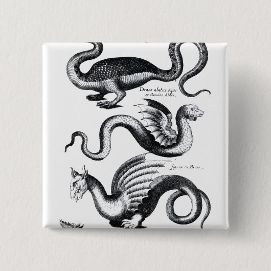 4つのタイプのドラゴン 缶バッジ (正面)