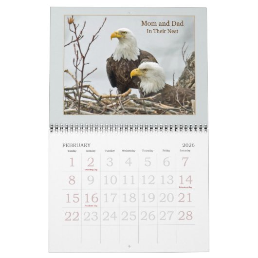 4つのハゲのイーグル一家 カレンダー (2月 2026)