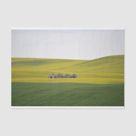 4つのバーが巨大な丘の転が中で寄り添った 薄葉紙 (正面)