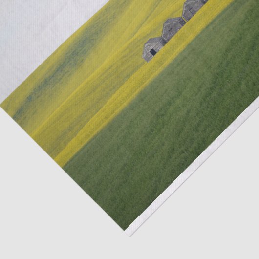 4つのバーが巨大な丘の転が中で寄り添った 薄葉紙 (詳細)