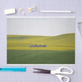 4つのバーが巨大な丘の転が中で寄り添った 薄葉紙 (クラフト)