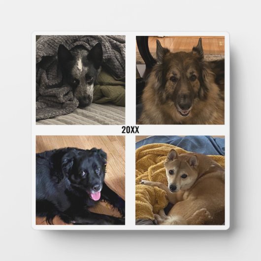 4つのフォトスタンドアップフレーム フォトプラーク (正面)