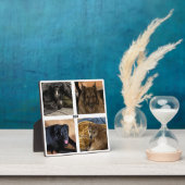 4つのフォトスタンドアップフレーム フォトプラーク (インサイチュ)