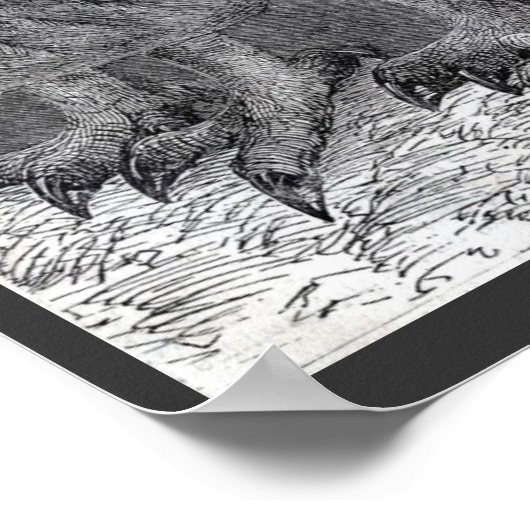 4つのフクロウヴィンテージ白黒ポスター ポスター (角)