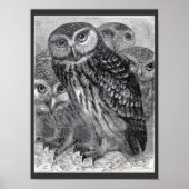 4つのフクロウヴィンテージ白黒ポスター ポスター (正面)