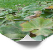 4つのフーブの生物芝刈り機 ポスター (コーナー)