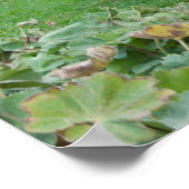 4つのフーブの生物芝刈り機 ポスター (角)