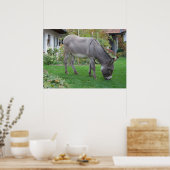 4つのフーブの生物芝刈り機 ポスター (キッチン)