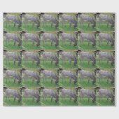 4つのフーブの生物芝刈り機 ラッピングペーパー (フラット)