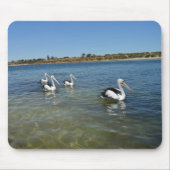 4つのペリカンが海で泳ぐ、マウスパッド マウスパッド (正面)