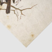 4つのヨーロッパのロビンズフリップのカルテポストエール鳥セット3 薄葉紙 (詳細)