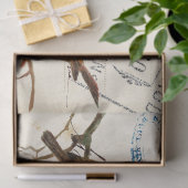 4つのヨーロッパのロビンズフリップのカルテポストエール鳥セット3 薄葉紙 (ギフト)