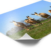 4つのロバ フォトプリント            (角)