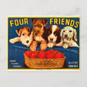 4つの友人ヴィンテージトマトクレートラベルドッグ ポストカード (正面)