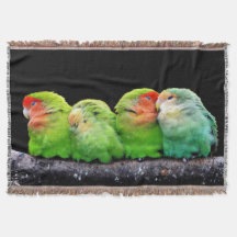 4つの小さなカナリア