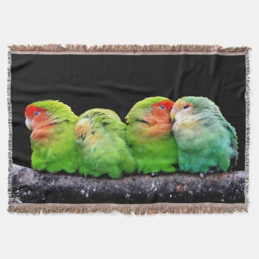 4つの小さなカナリア スローブランケット (正面)