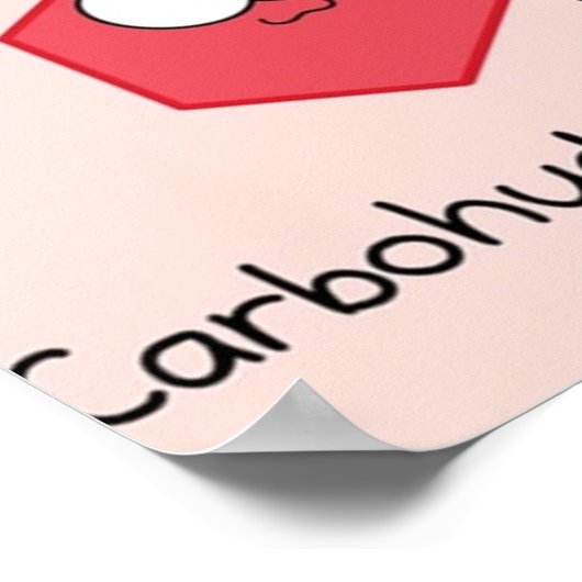 4つの生体分子 ポスター (角)