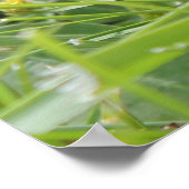 4つの黒と黄色のベビーチキンチキン ポスター (角)