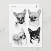 4つのChihuahuasリアルな手絵を描作品 ポストカード (正面/裏面)