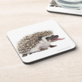 4つま先で触られたハリネズミ- Atelerixのalbiventris コースター (左側)