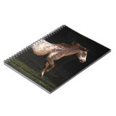 4つを走っているAppaloosaの馬 ノートブック (左側)